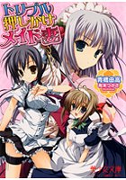 トリプル押しかけメイド妻の表紙