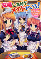没落したけどメイドがいるの表紙