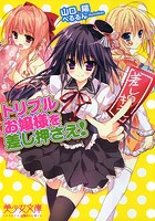 トリプルお嬢様を差し押さえ!の表紙