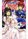 武闘少女姫 桜輝の表紙