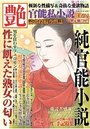 【成年向け雑誌】官能私小説 艶 2016年01月号の表紙|2015年11月発売のアダルトノベル